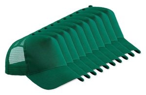 Vert Bouteille / Vert Bouteille