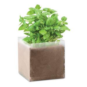 BASIL Substrat avec graines Basilic - GiftRetail MO9545